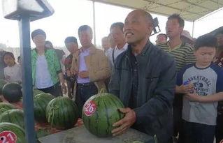 千佛山娱乐团队吃瓜群众,吃瓜群众揭秘幕后故事